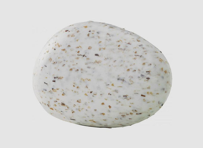 EXFOLIATING SOAP WITH ALGAE